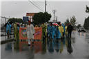Shobhayatra (10).jpg